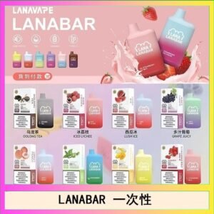 LANA BAR可充电一次性電子煙霧化5000口(3.0%)