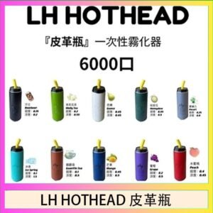 LH HOTHEAD皮革瓶電子煙可充電6000口一次性