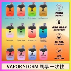 Vapor Storm風暴電子煙7500口（5%）一次性